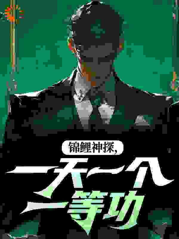 锦鲤神探，一天一个一等功