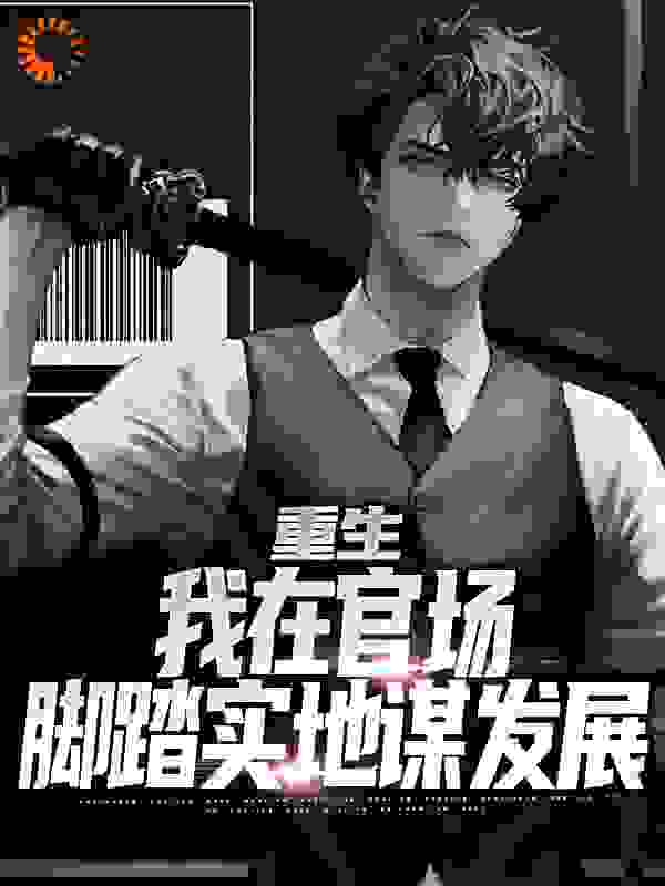 重生：我在官场脚踏实地谋发展