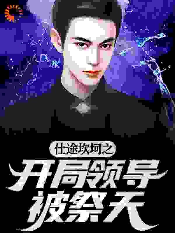 仕途坎坷之开局领导被祭天