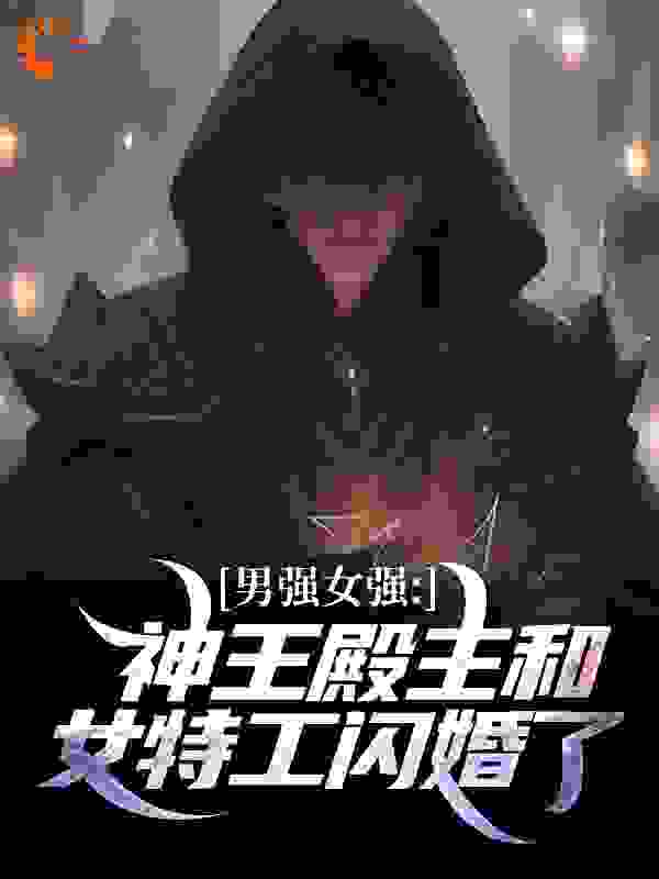 男强女强：神王殿主和女特工闪婚了