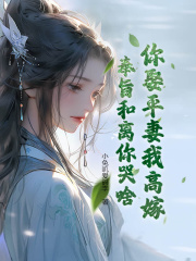 你娶平妻我高嫁，奉旨和离你哭啥？