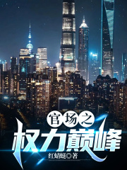 官场劳模的我一升再升