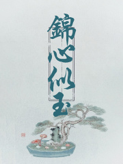 锦心似玉