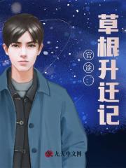 官途：草根升迁记