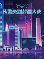 青天：从警员到封疆大吏