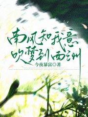 南风知我意，吹梦到西洲
