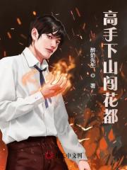高手下山闯花都