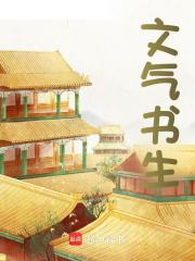 文气书生