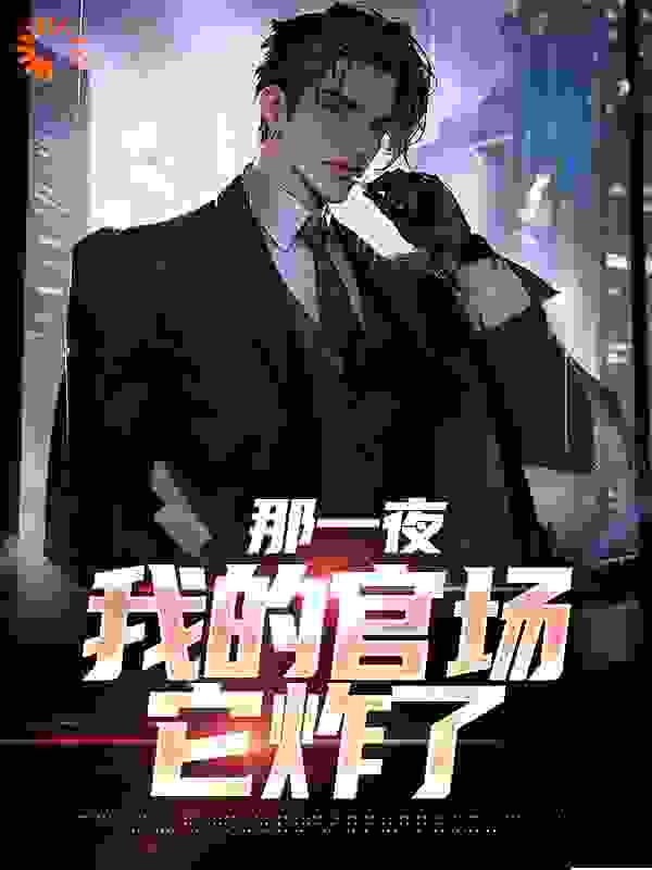 那一夜，我的官场它炸了