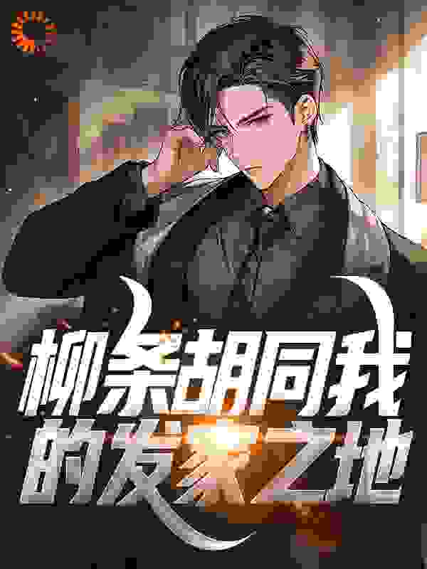 柳条胡同我的发家之地