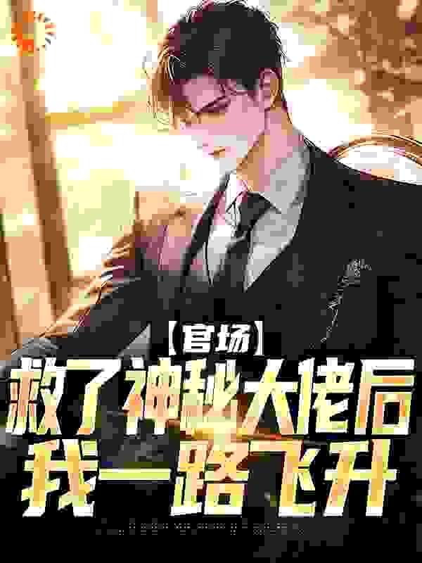 官场：救了神秘大佬后，我一路飞升