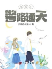 权欲：警路通天