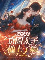 暗宠成真，京圈太子他上了瘾