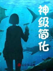 神级简化