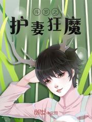 斗罗之护妻狂魔