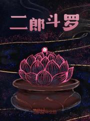 二郎斗罗