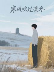 寒风吹过凛冬
