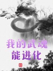 我的武魂能进化