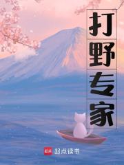 打野专家