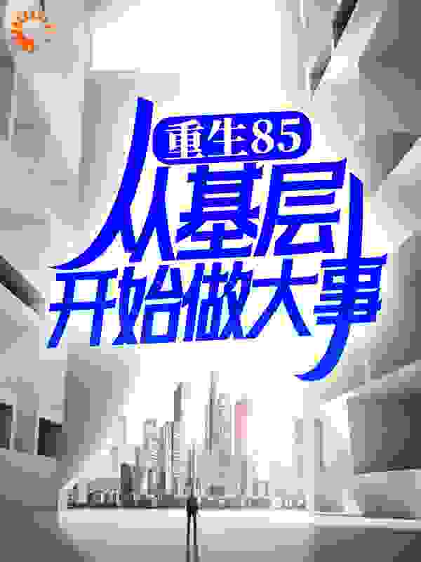 重生85，从基层开始做大事！