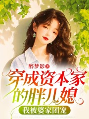 穿成资本家的胖儿媳，我被婆家团宠