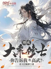 刚成大乘修士，你告诉我在高武？