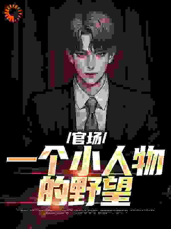 官场：一个小人物的野望