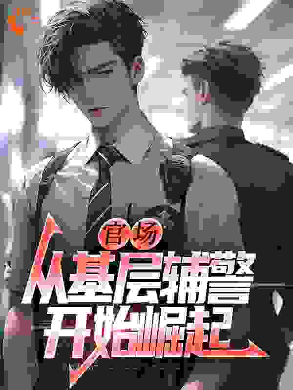 官场：从基层辅警开始崛起