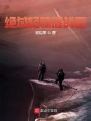 绝域轻骑催战云