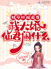 挺孕肚嫁魔尊，我大婚仙君闹什么