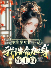 你拿军功换平妻，我诰命加身嫁王府