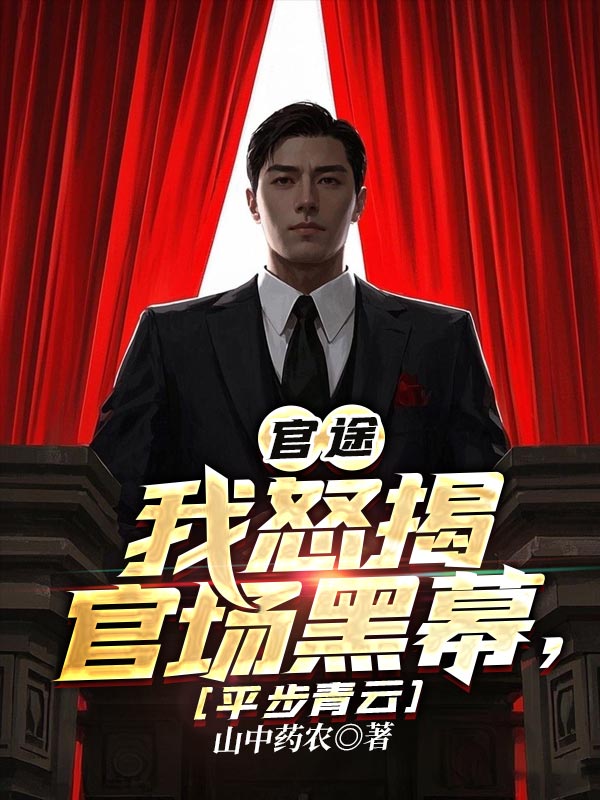 官途：我怒揭官场黑幕，平步青云