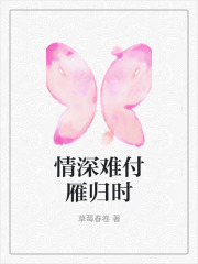 情深难付雁归时