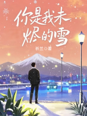 你是我未烬的雪