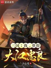 三国：我，蔡瑁，大汉忠良