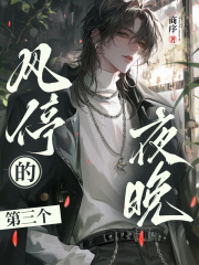 风停的第三个夜晚