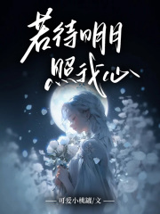 若待明月照我心