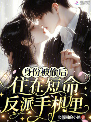 身份被偷后，住在短命反派手机里
