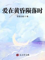爱在黄昏陨落时