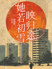 她若初雪映归途