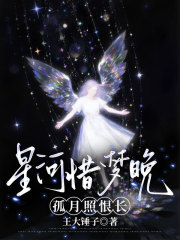 星河惜梦晚，孤月照恨长