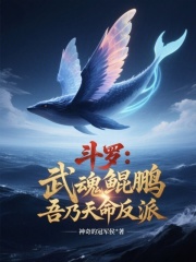 斗罗：武魂鲲鹏，吾乃天命反派！