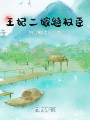 王妃二嫁魅权臣