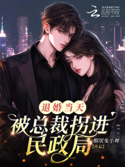 退婚当天，被总裁拐进民政局