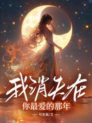 我消失在你最爱的那年