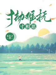 寸劫难抚寸相思