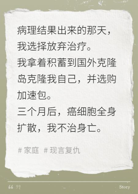 替身妻子的反击