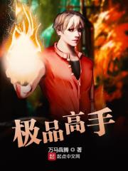 极品高手
