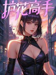 护花高手