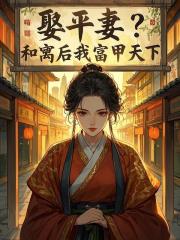 娶平妻？和离后我富甲天下